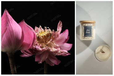  Lotus Orchid αρωματικό κερί